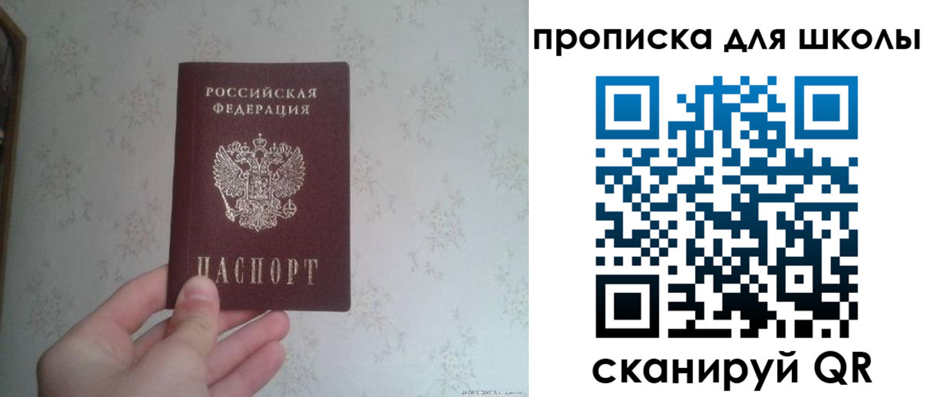 прописка в квартире в Королёве